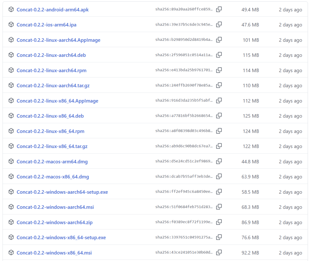 GitHub Releases 下载页